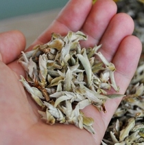 Чайные почки (Цена за 50 гр.)